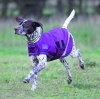 Shires High Denier Waterproof Dog Rug (RRP £27.99)